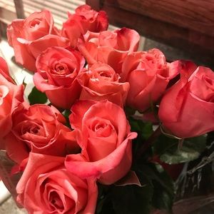 Meet your Posher, Sandra